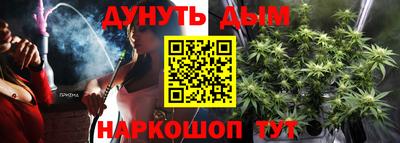 сатива Дубна